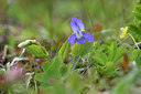 BUITEN BEELD Foto: 318579