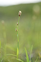 BUITEN BEELD Foto: 318585