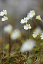 BUITEN BEELD Foto: 318618