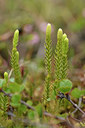 BUITEN BEELD Foto: 318622