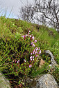 BUITEN BEELD Foto: 318642