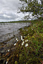 BUITEN BEELD Foto: 318645