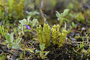BUITEN BEELD Foto: 318662