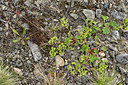 BUITEN BEELD Foto: 318667