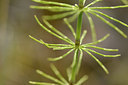 BUITEN BEELD Foto: 318675