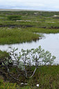 BUITEN BEELD Foto: 318684