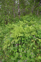BUITEN BEELD Foto: 318697