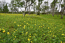 BUITEN BEELD Foto: 318722