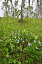 BUITEN BEELD Foto: 318730