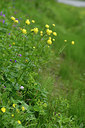 BUITEN BEELD Foto: 318780