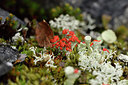 BUITEN BEELD Foto: 318785