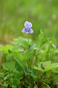 BUITEN BEELD Foto: 318798