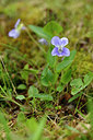 BUITEN BEELD Foto: 318804
