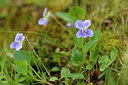 BUITEN BEELD Foto: 318805