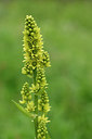 BUITEN BEELD Foto: 318810