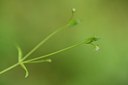 BUITEN BEELD Foto: 318825