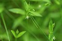 BUITEN BEELD Foto: 318829