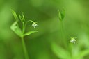 BUITEN BEELD Foto: 318830