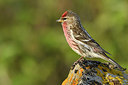BUITEN BEELD Foto: 318926