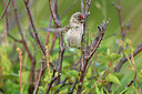 BUITEN BEELD Foto: 318936