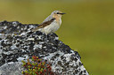 BUITEN BEELD Foto: 318947