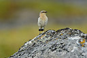 BUITEN BEELD Foto: 318950