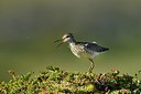 BUITEN BEELD Foto: 318959