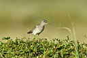 BUITEN BEELD Foto: 318960