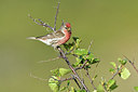 BUITEN BEELD Foto: 318975