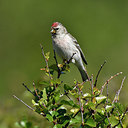 BUITEN BEELD Foto: 318991