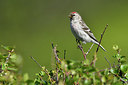 BUITEN BEELD Foto: 318993