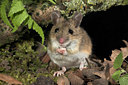 BUITEN BEELD Foto: 31008
