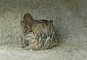 BUITEN BEELD Foto: 31039