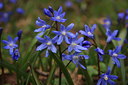 BUITEN BEELD Foto: 31076