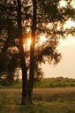 BUITEN BEELD Foto: 31168