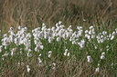 BUITEN BEELD Foto: 31191