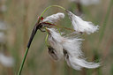 BUITEN BEELD Foto: 31192
