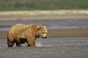 BUITEN BEELD Foto: 31238