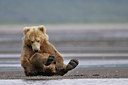 BUITEN BEELD Foto: 31247