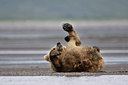 BUITEN BEELD Foto: 31248