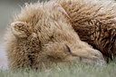 BUITEN BEELD Foto: 31255