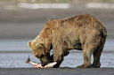 BUITEN BEELD Foto: 31272