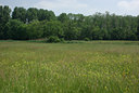 BUITEN BEELD Foto: 31414