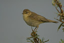 BUITEN BEELD Foto: 31460