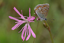 BUITEN BEELD Foto: 31476