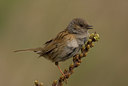 BUITEN BEELD Foto: 31477