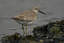BUITEN BEELD Foto: 31479