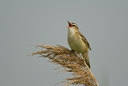BUITEN BEELD Foto: 31480