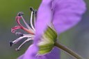 BUITEN BEELD Foto: 31534