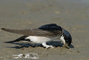 BUITEN BEELD Foto: 31559